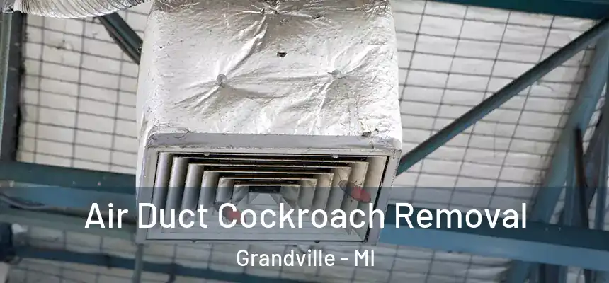  Air Duct Cockroach Removal Grandville - MI