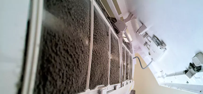 Preventive Air Duct Bacteria Removal in Grandville