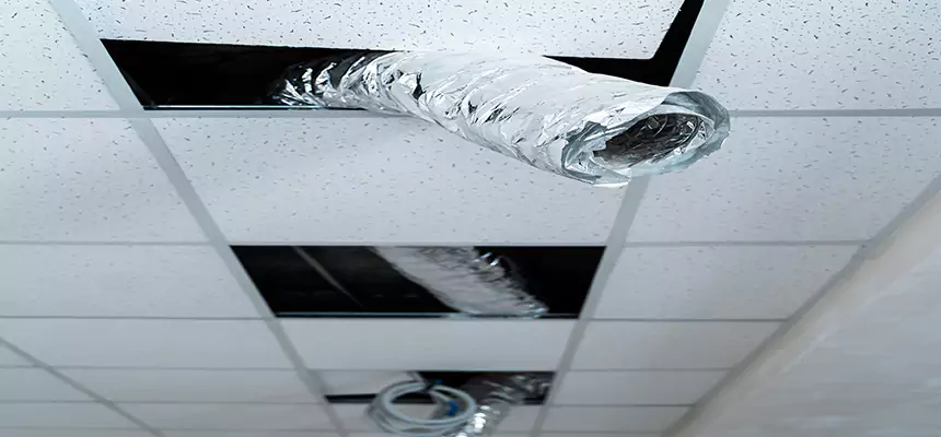 Affordable HVAC Sanitizing After Pest Removal in Grandville