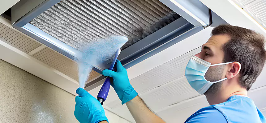 Proactive Dryer Vent & Auxiliary Duct Pollen Cleanup in Grandville, MI