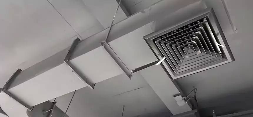 Restorative Allergy Relief Vent Cleaning – Coil, Blower & Housing Detail in Grandville