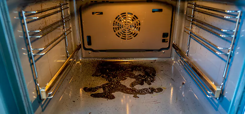 Our Dryer Vent Mold Cleaning Services in Grandville, MI