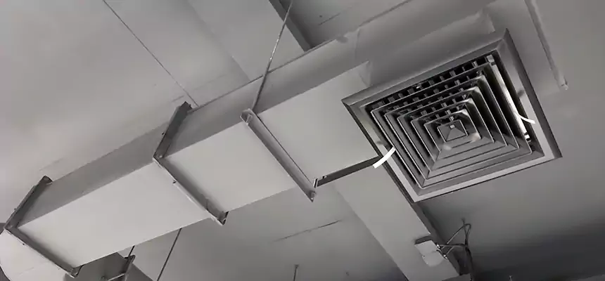 Our Pest Removal From Ducts Services in Grandville, MI