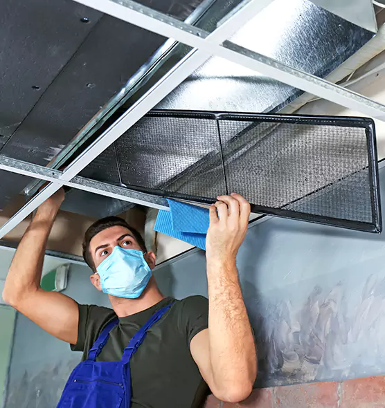 About Air Duct Bacteria Removal in Grandville