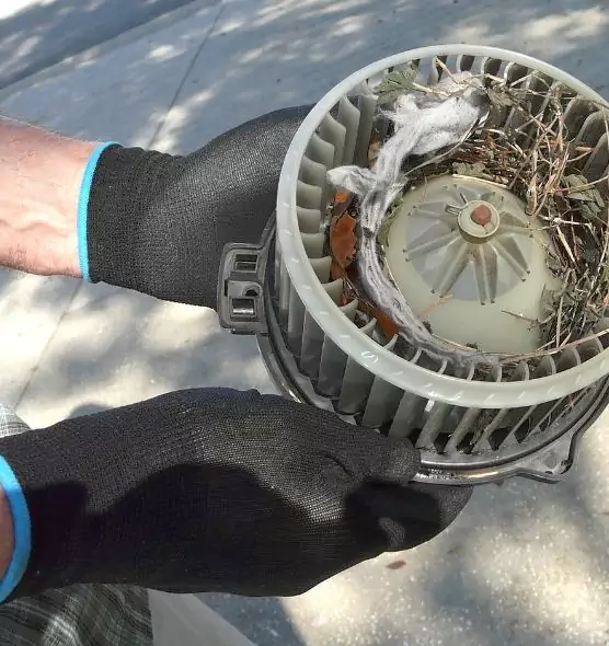 About Air Duct Mice Removal in Grandville, MI