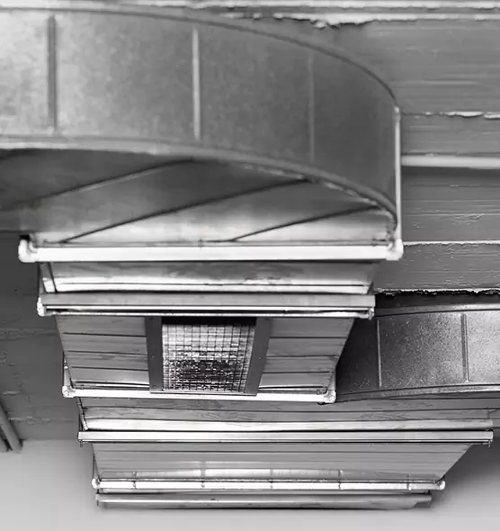 Professional Air Duct Pet Hair Removal in Grandville, MI