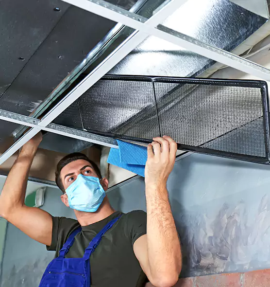 Professional Air Duct Pollen Cleaning in Grandville, MI