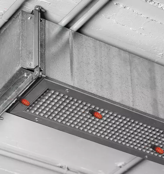 Affordable Insect Removal from Air Ducts in Grandville, MI