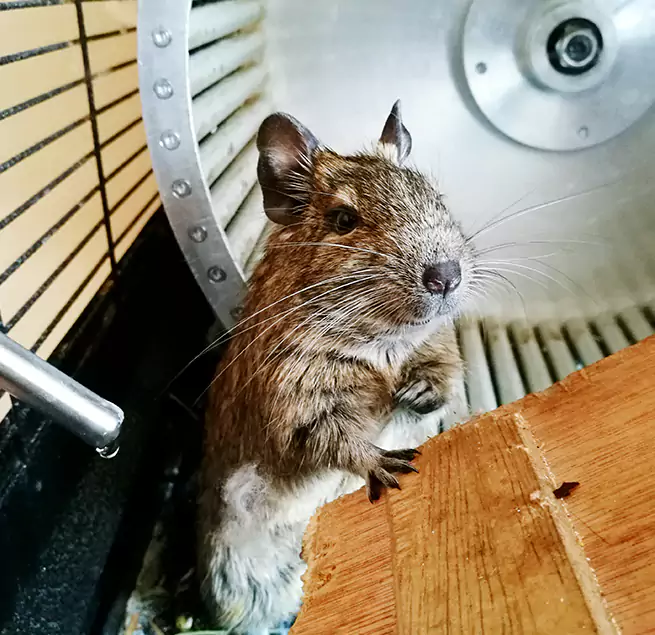 Why Homeowners & Businesses Trust Us Grandville, MI?