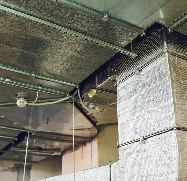 Why Homeowners & Businesses Trust Us in Grandville, MI?